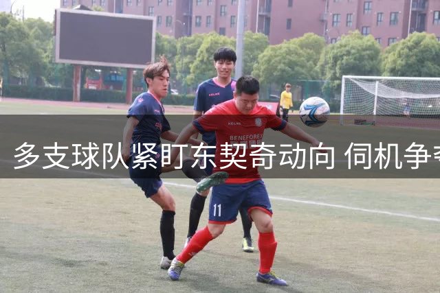 多支球队紧盯东契奇动向 伺机争夺这位超级球星
